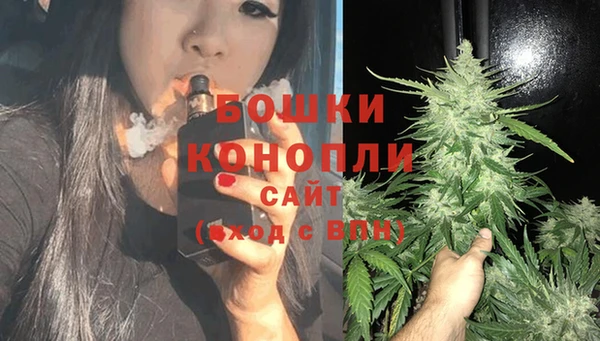 гашик Бронницы