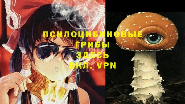 мяу мяу кристалл Бородино