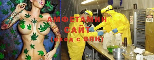 гашик Бронницы