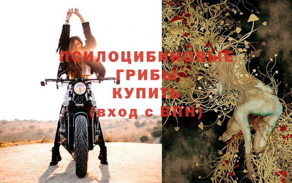 гашик Бронницы
