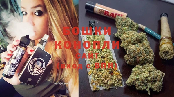 гашик Бронницы