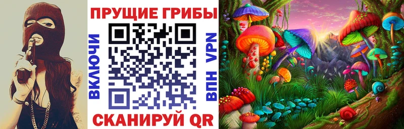 Купить  Бугуруслан  Галлюциногенные грибы Magic Shrooms 